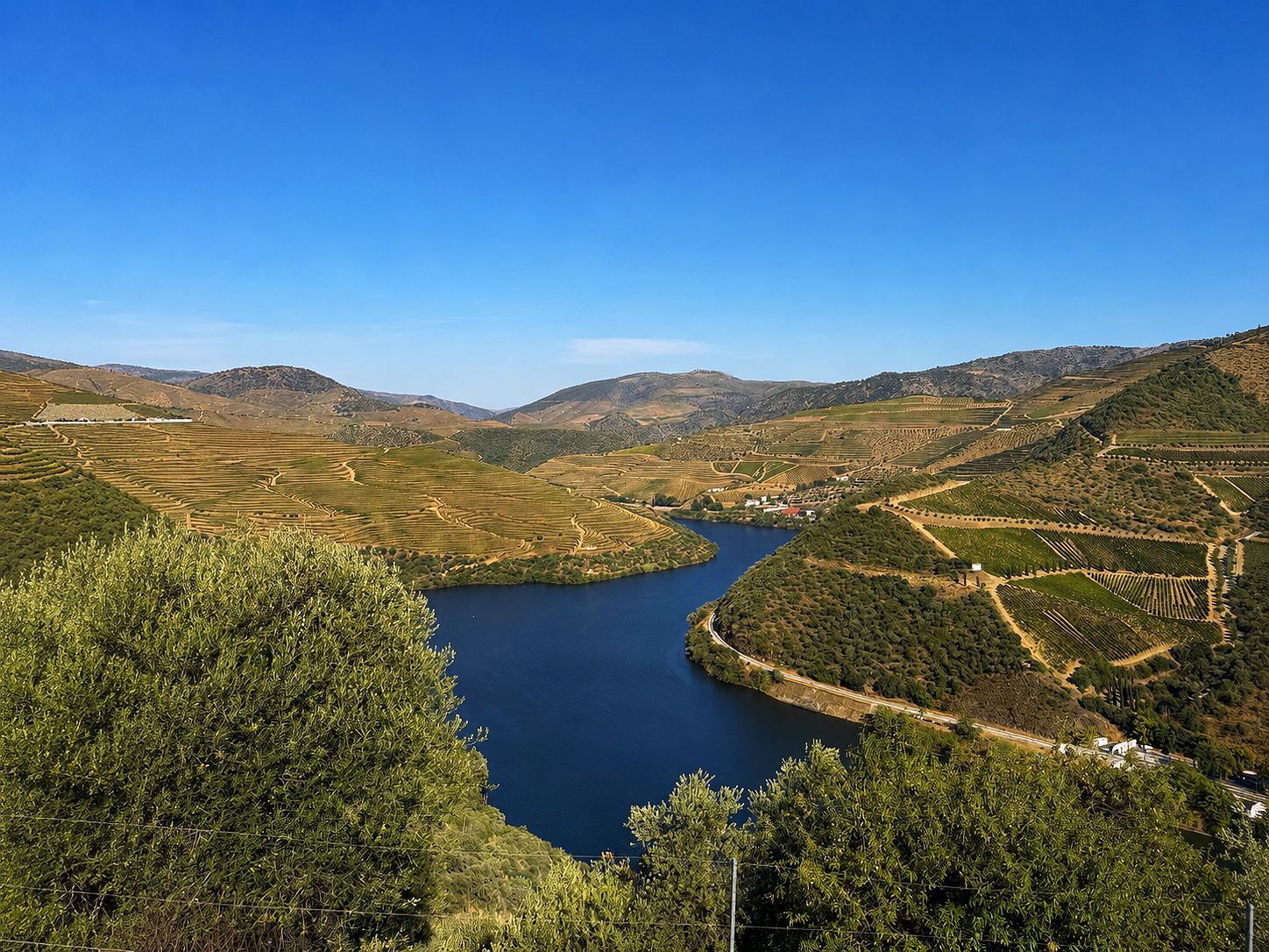 Exclusive Vineyard Estate, Douro