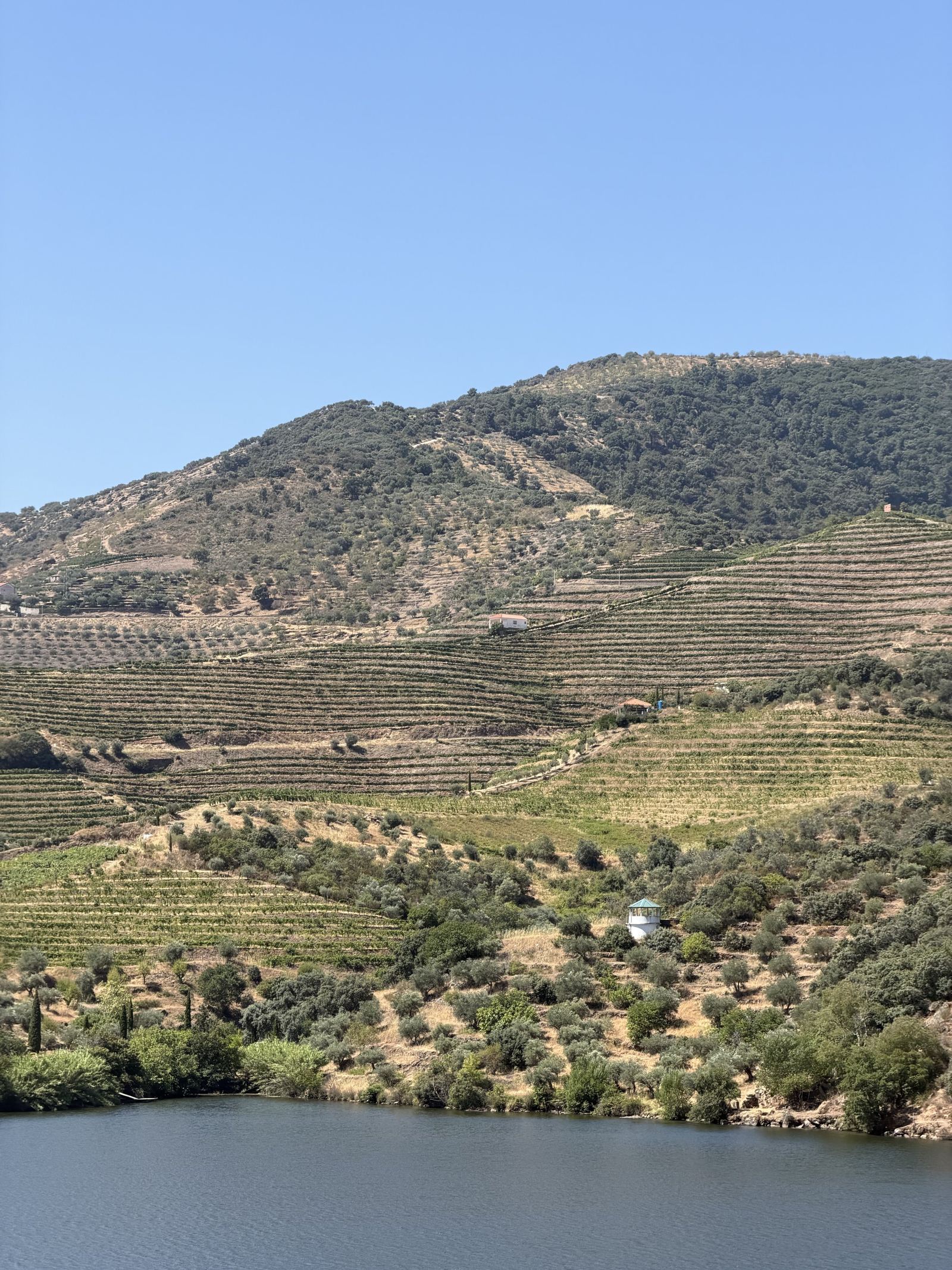 Exclusive Vineyard Estate, Douro — 2
