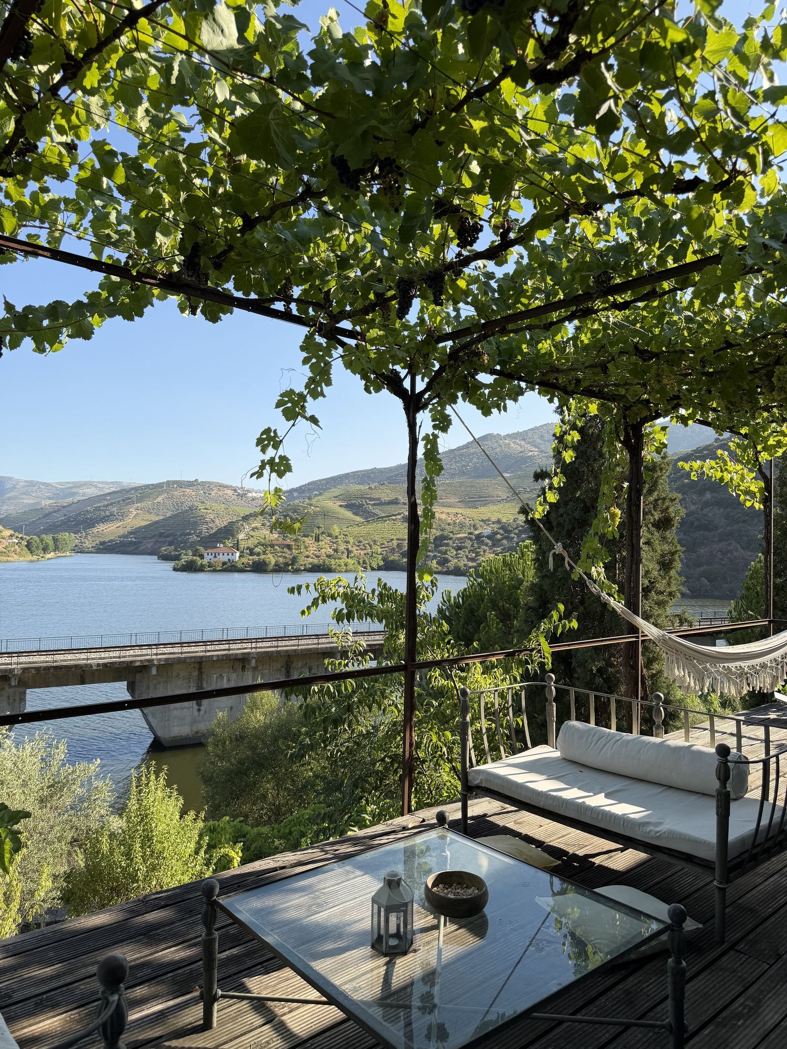 Exclusive Vineyard Estate, Douro — 3
