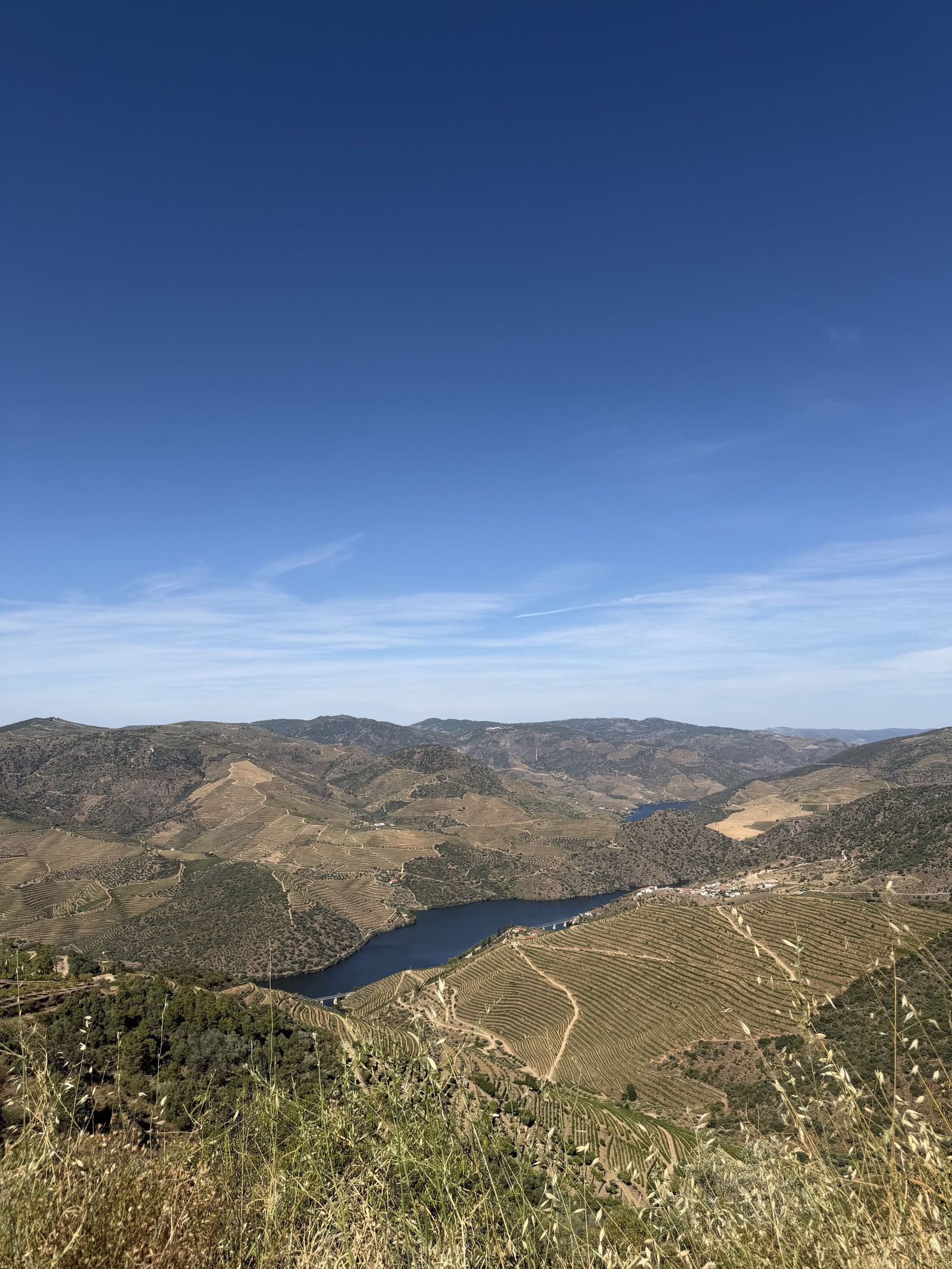 Exclusive Vineyard Estate, Douro — 7