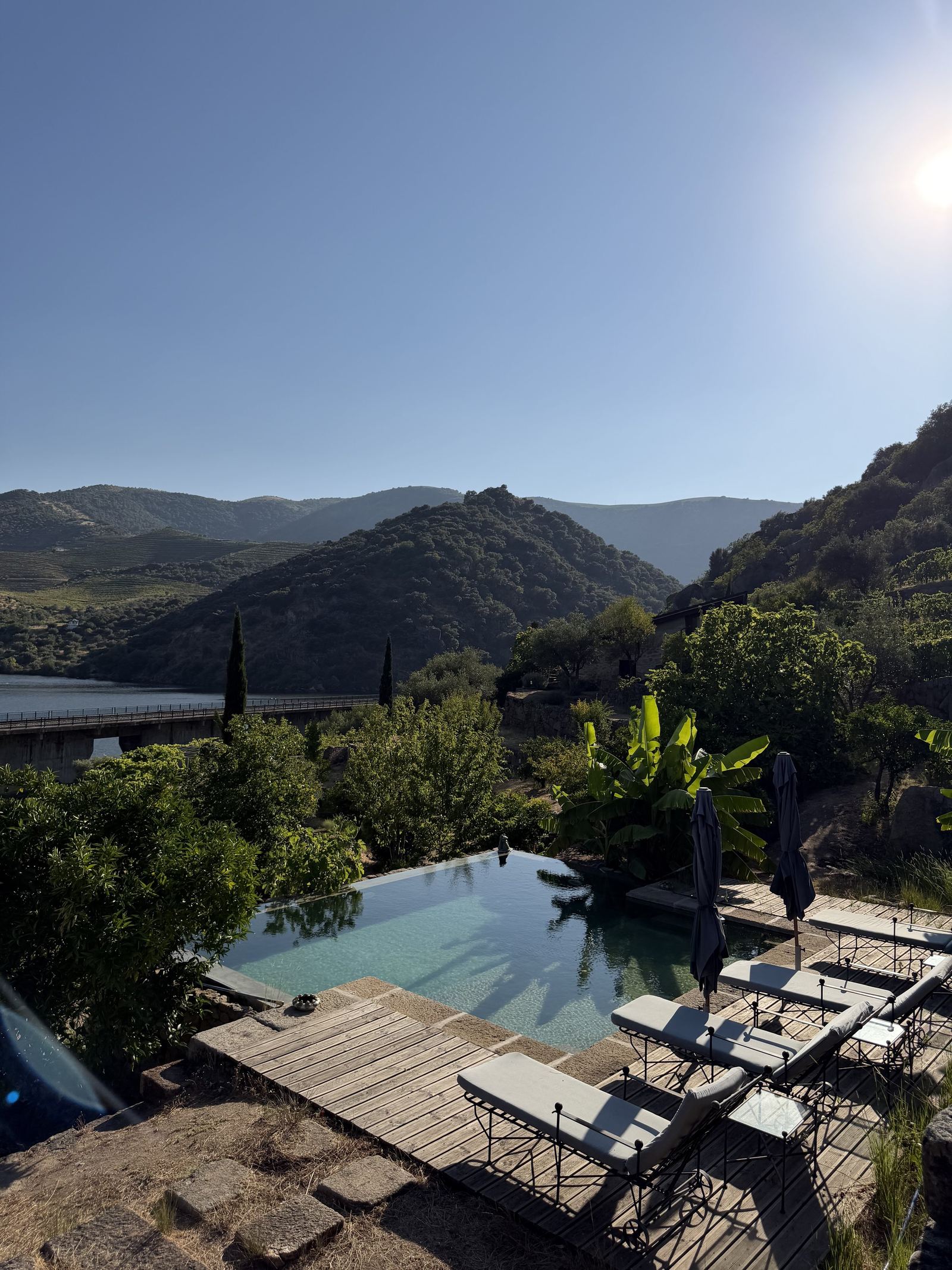 Exclusive Vineyard Estate, Douro — 8